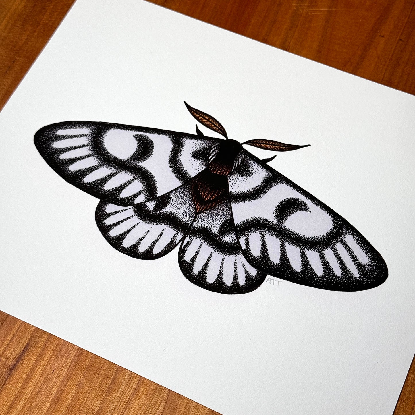 Hera Buck Moth - Print