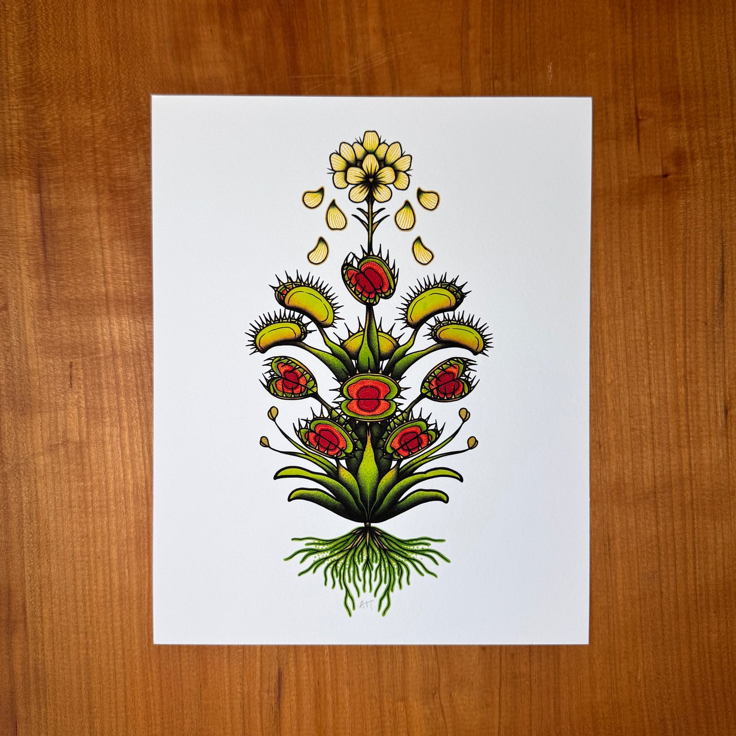 Fly Trap I - Print