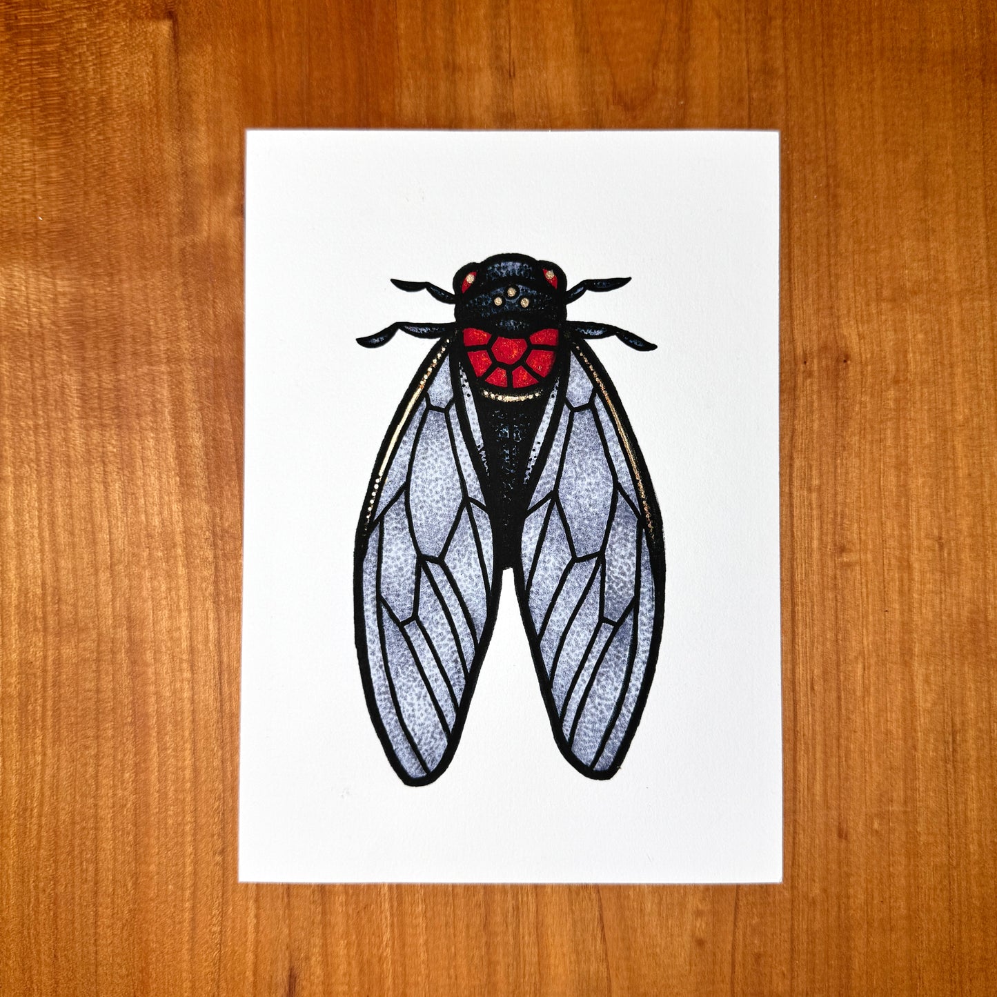 Cicada - Print
