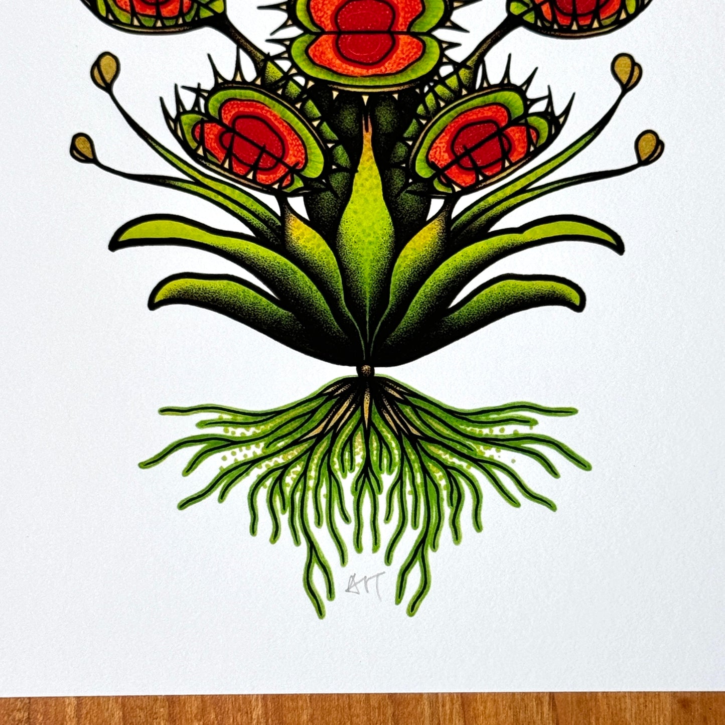 Fly Trap I - Print