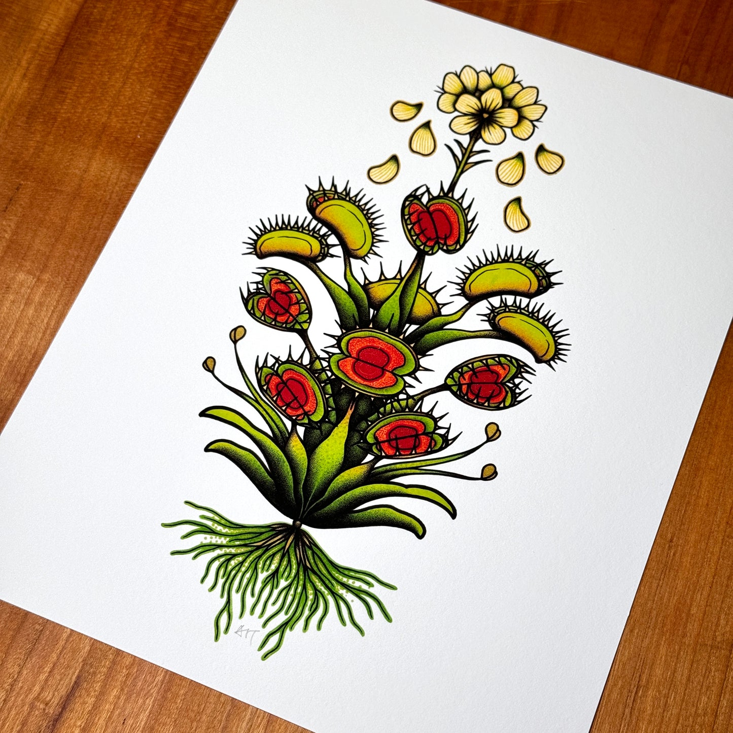 Fly Trap I - Print
