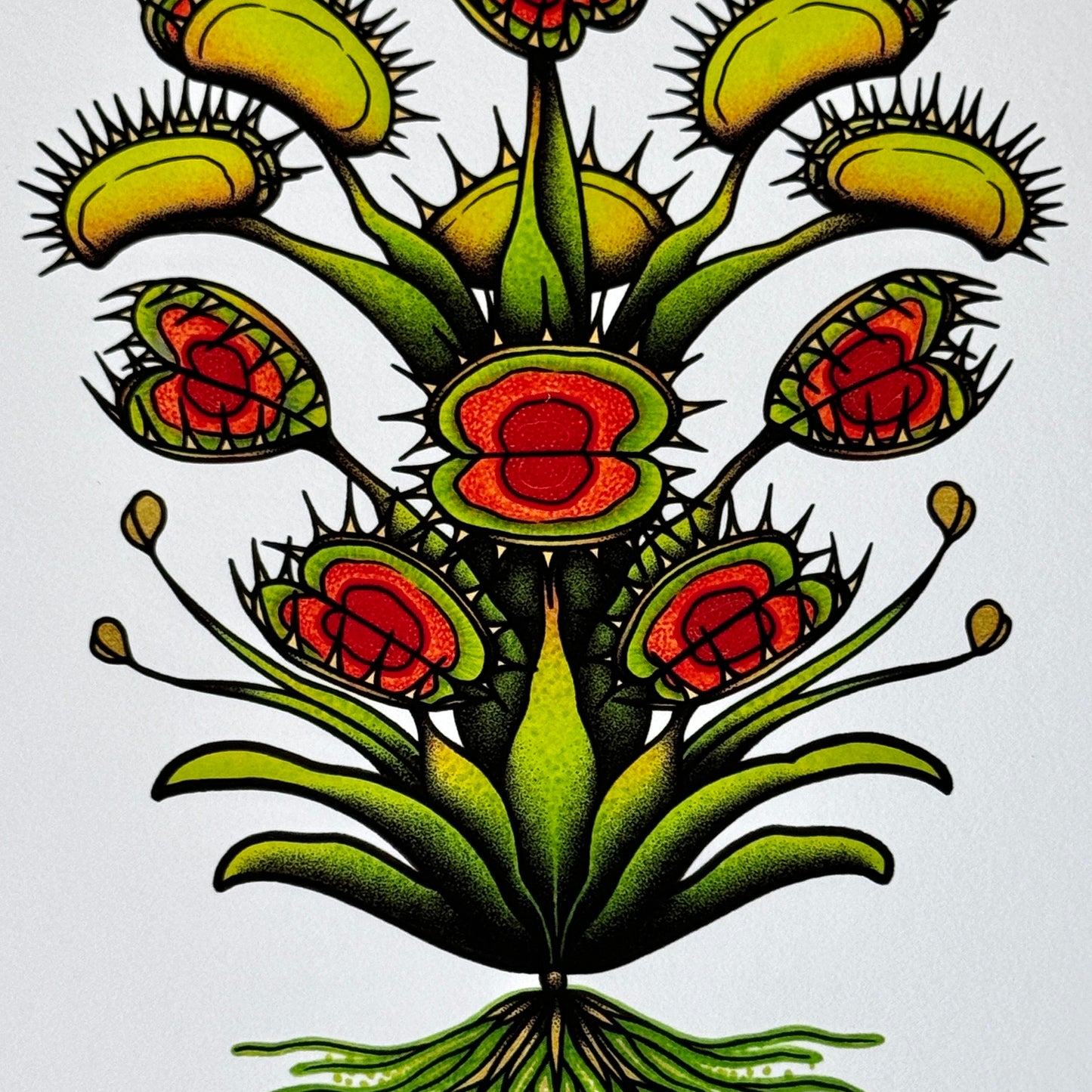 Fly Trap I - Print