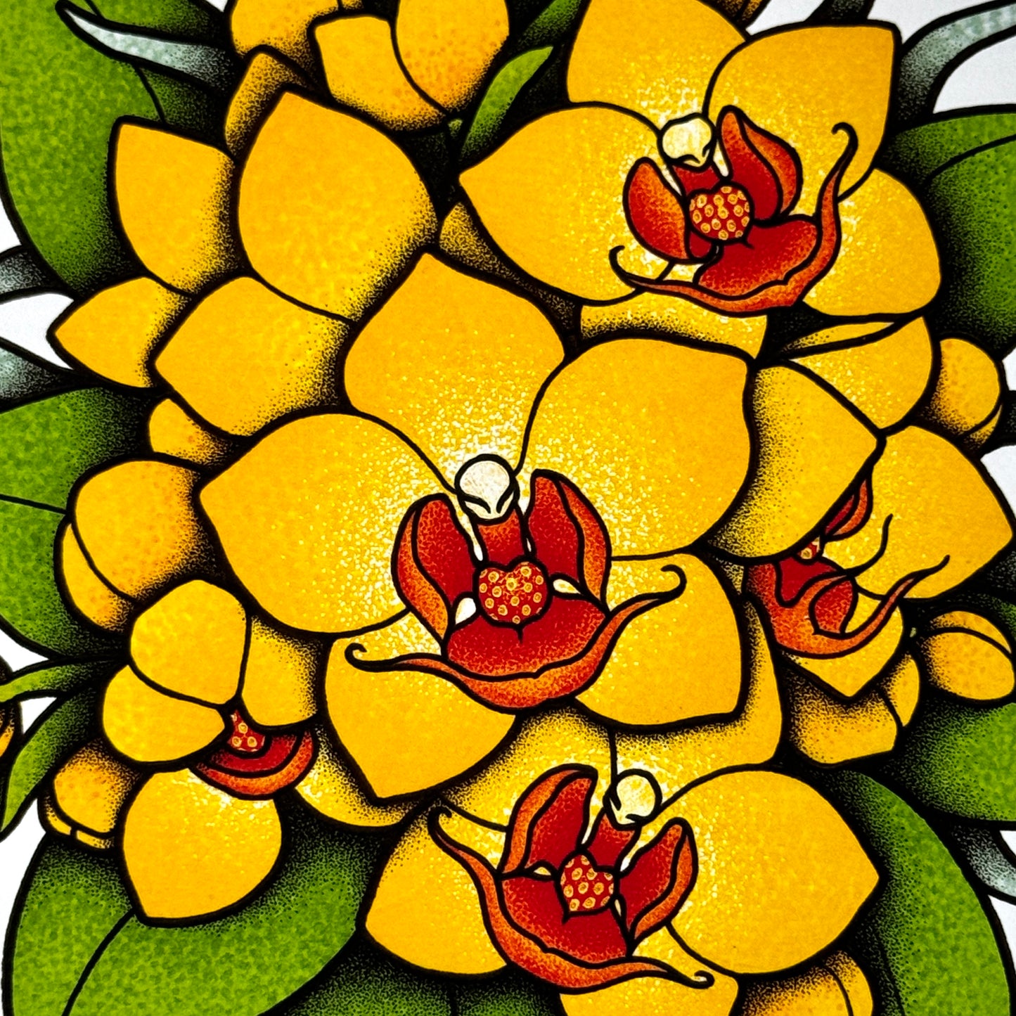 Phalaenopsis Orchid - Print