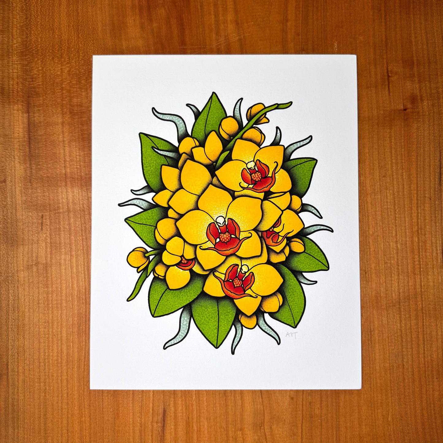 Phalaenopsis Orchid - Print