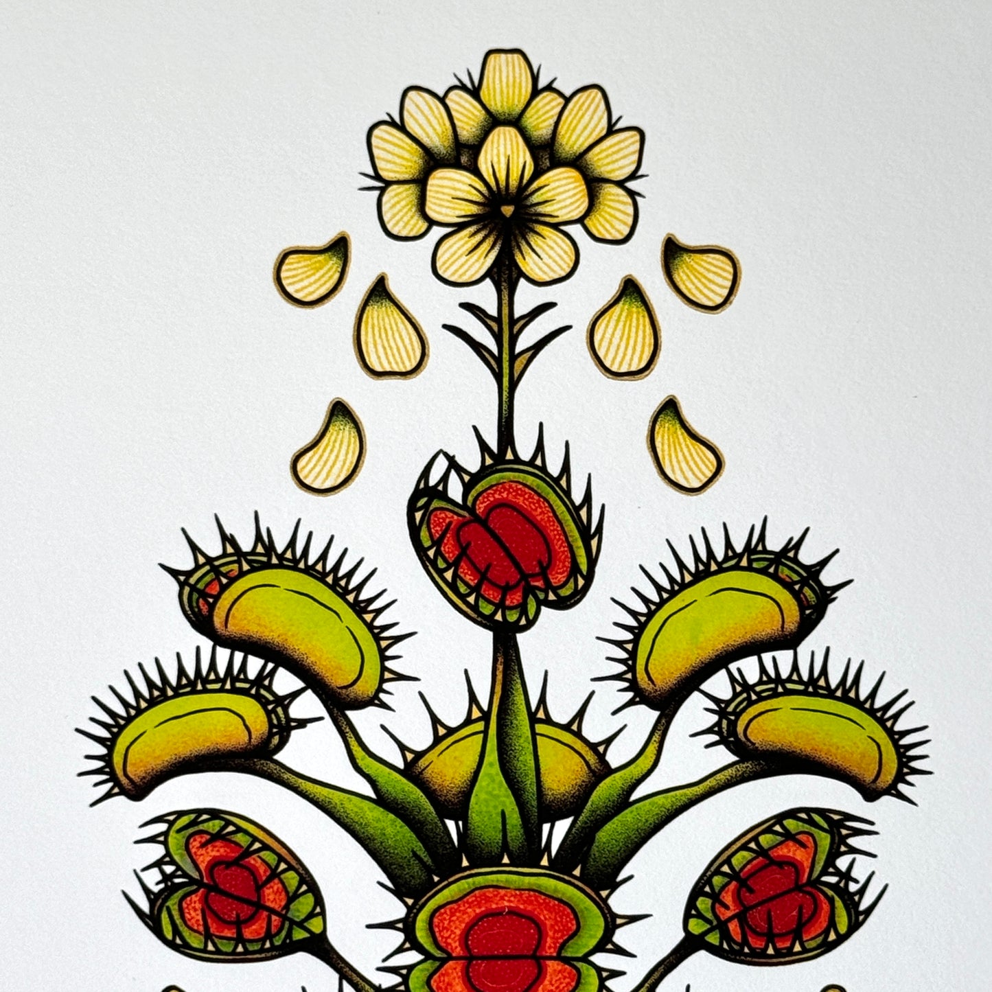 Fly Trap I - Print