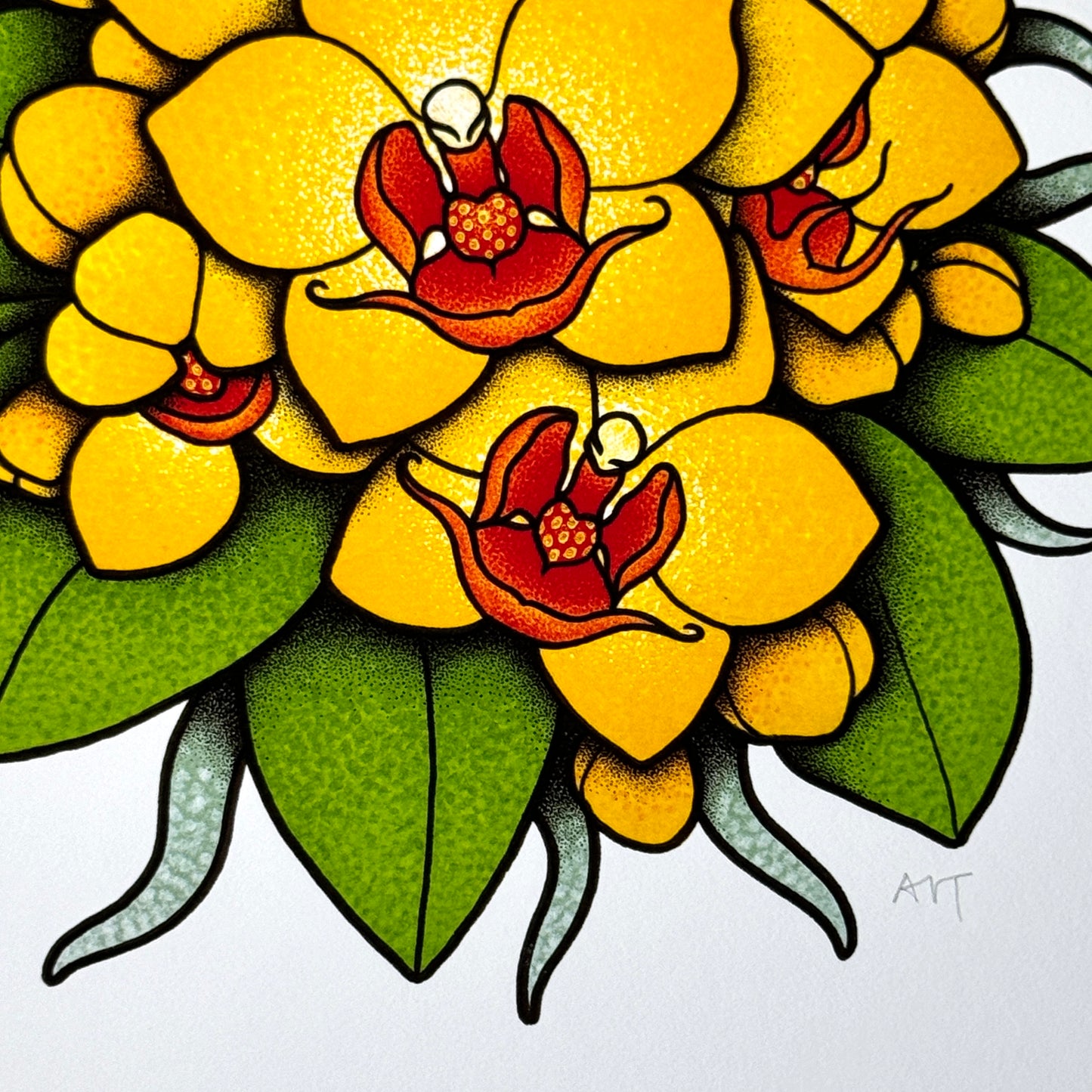 Phalaenopsis Orchid - Print