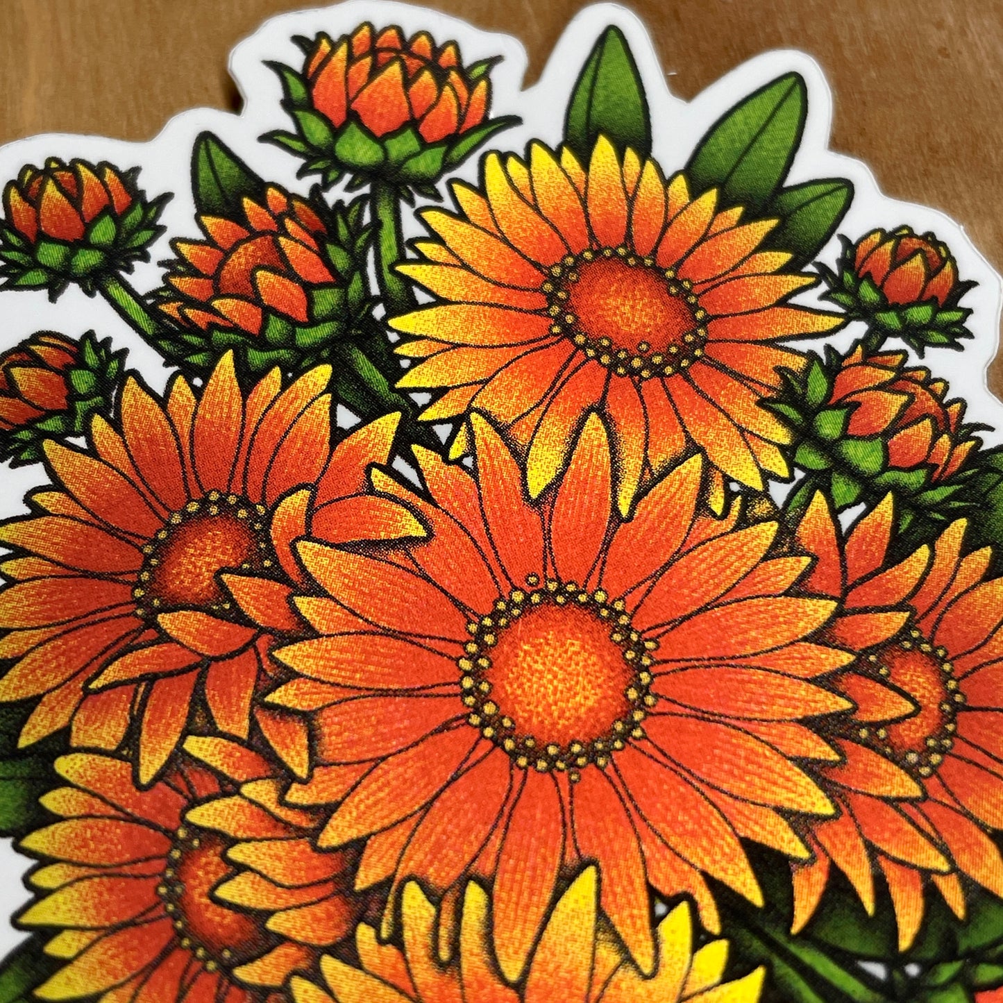 Gaillardia - Sticker