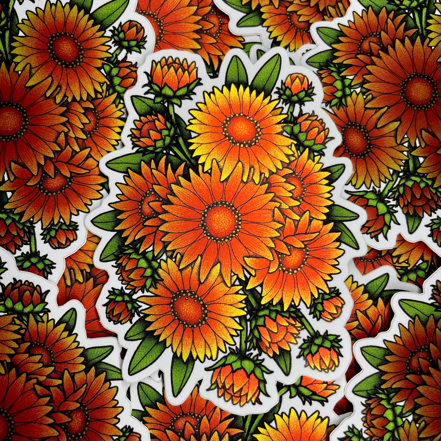 Gaillardia - Sticker