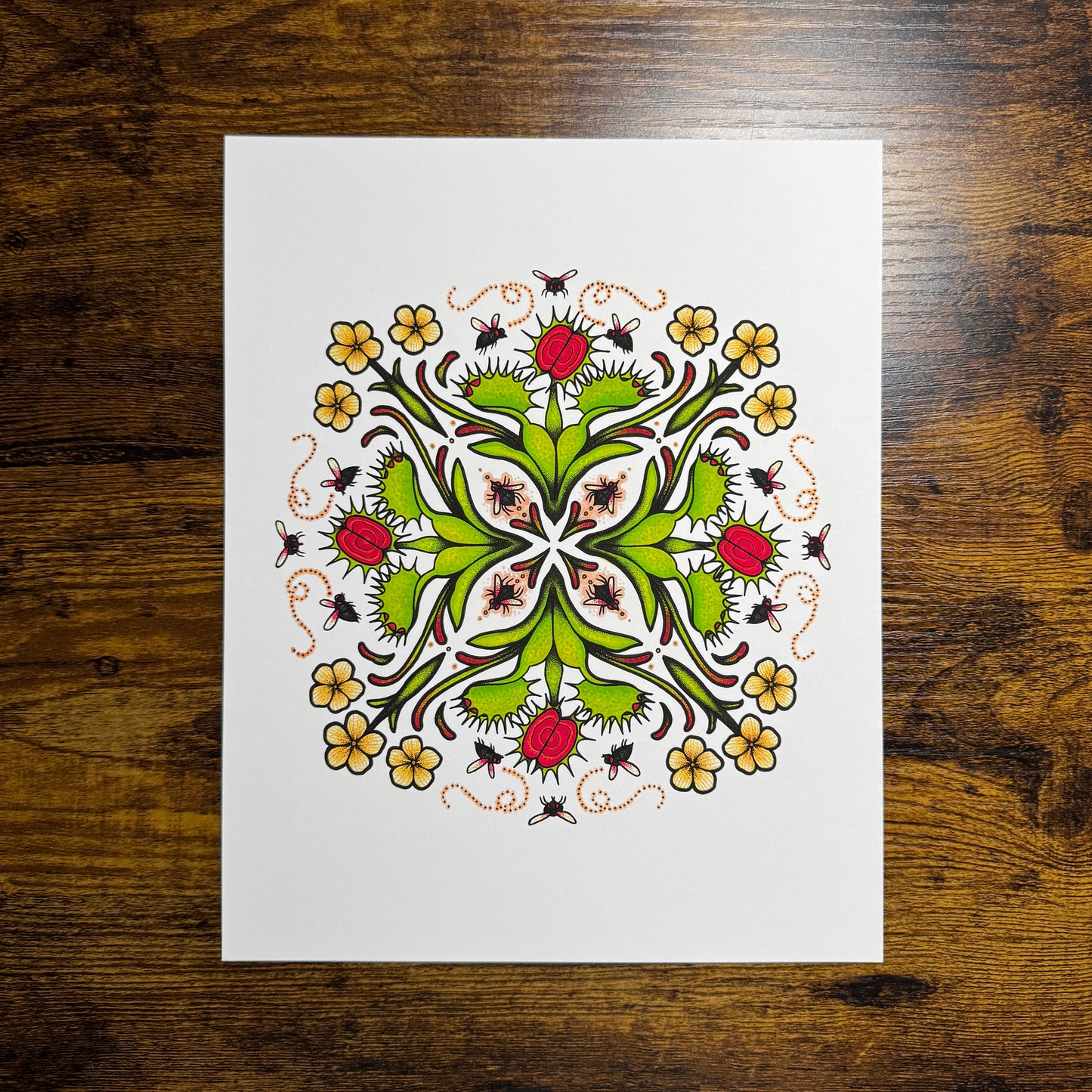Flytrap Mandala - Print