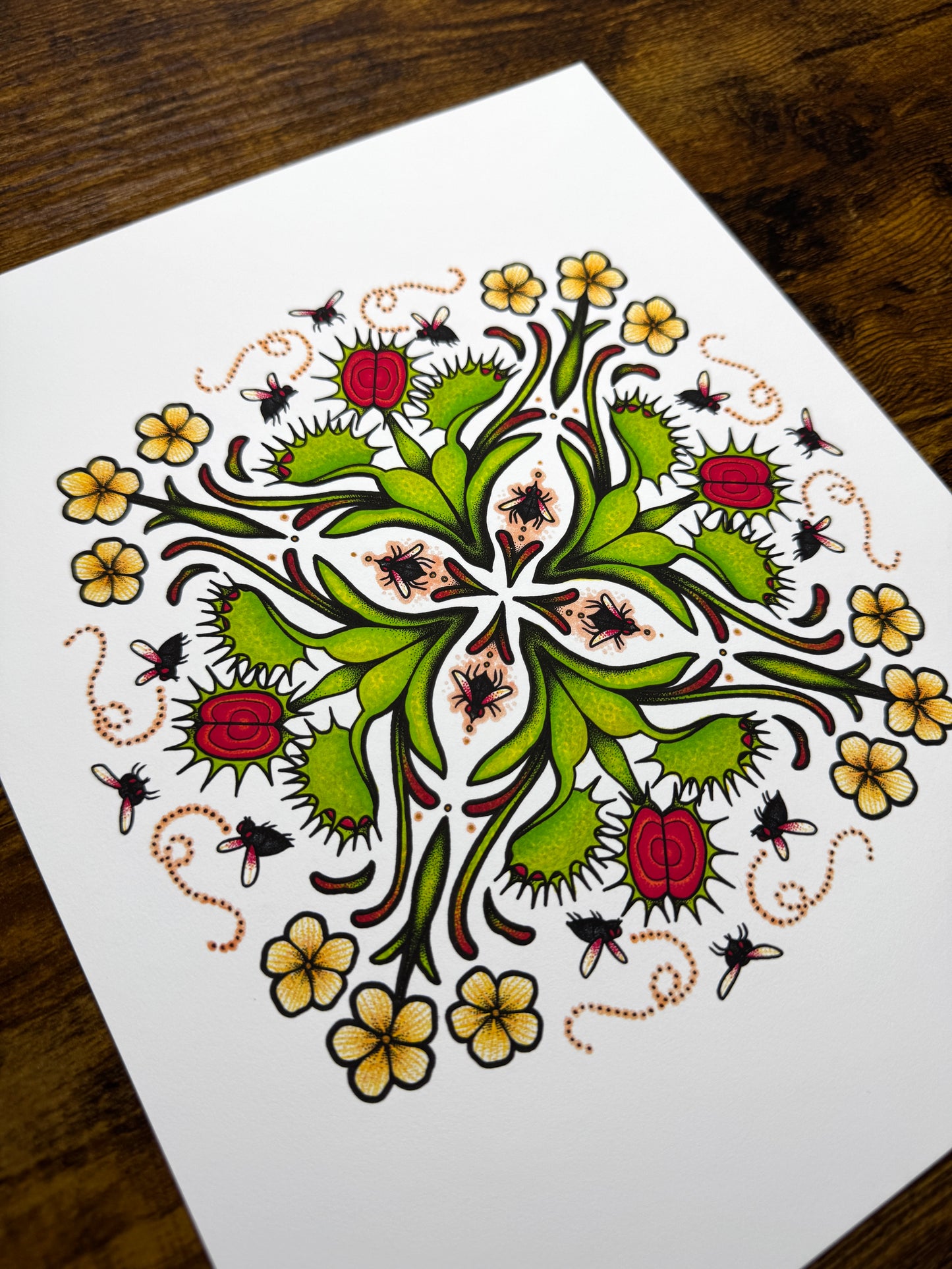 Flytrap Mandala - Print