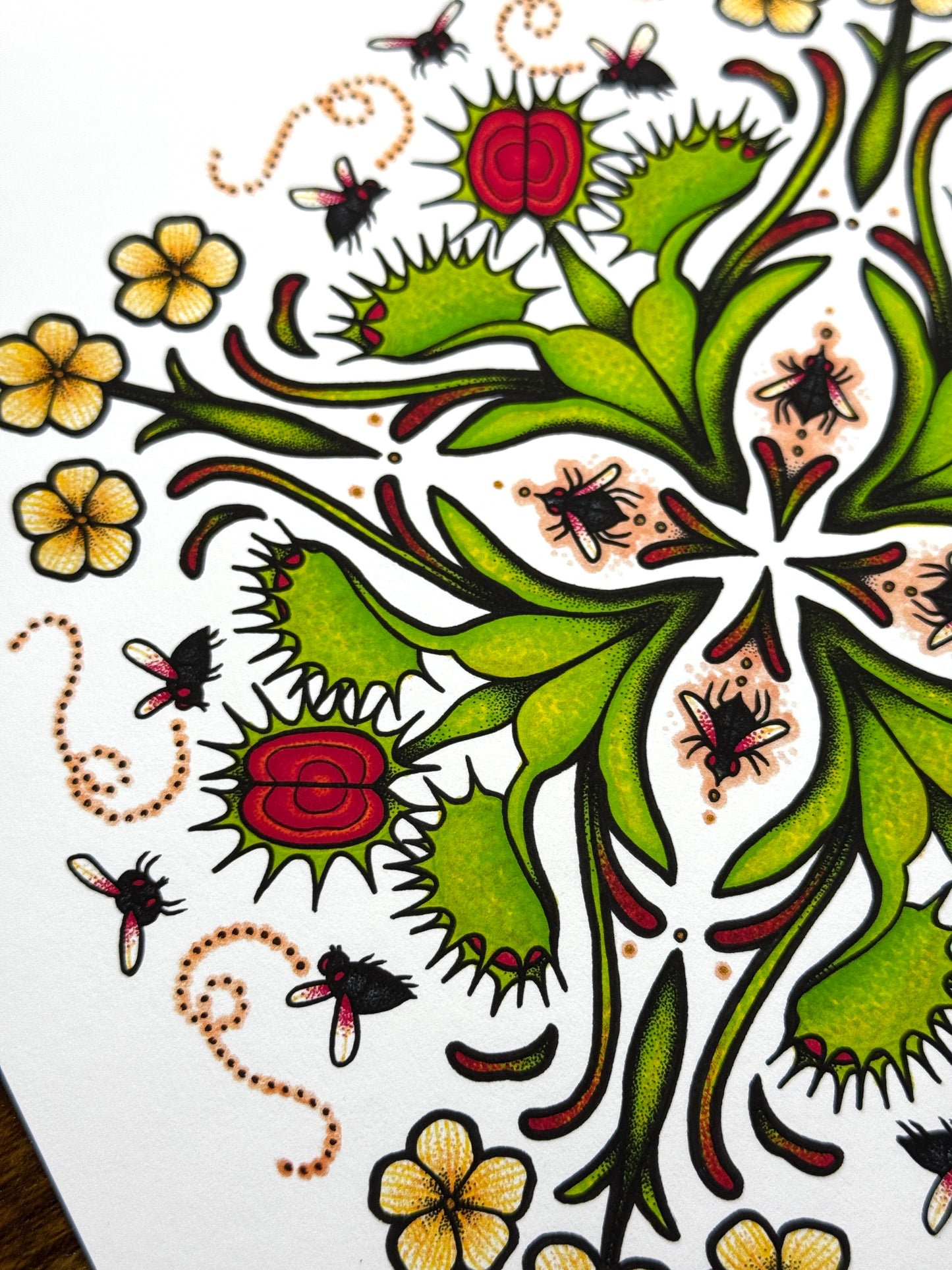 Flytrap Mandala - Print