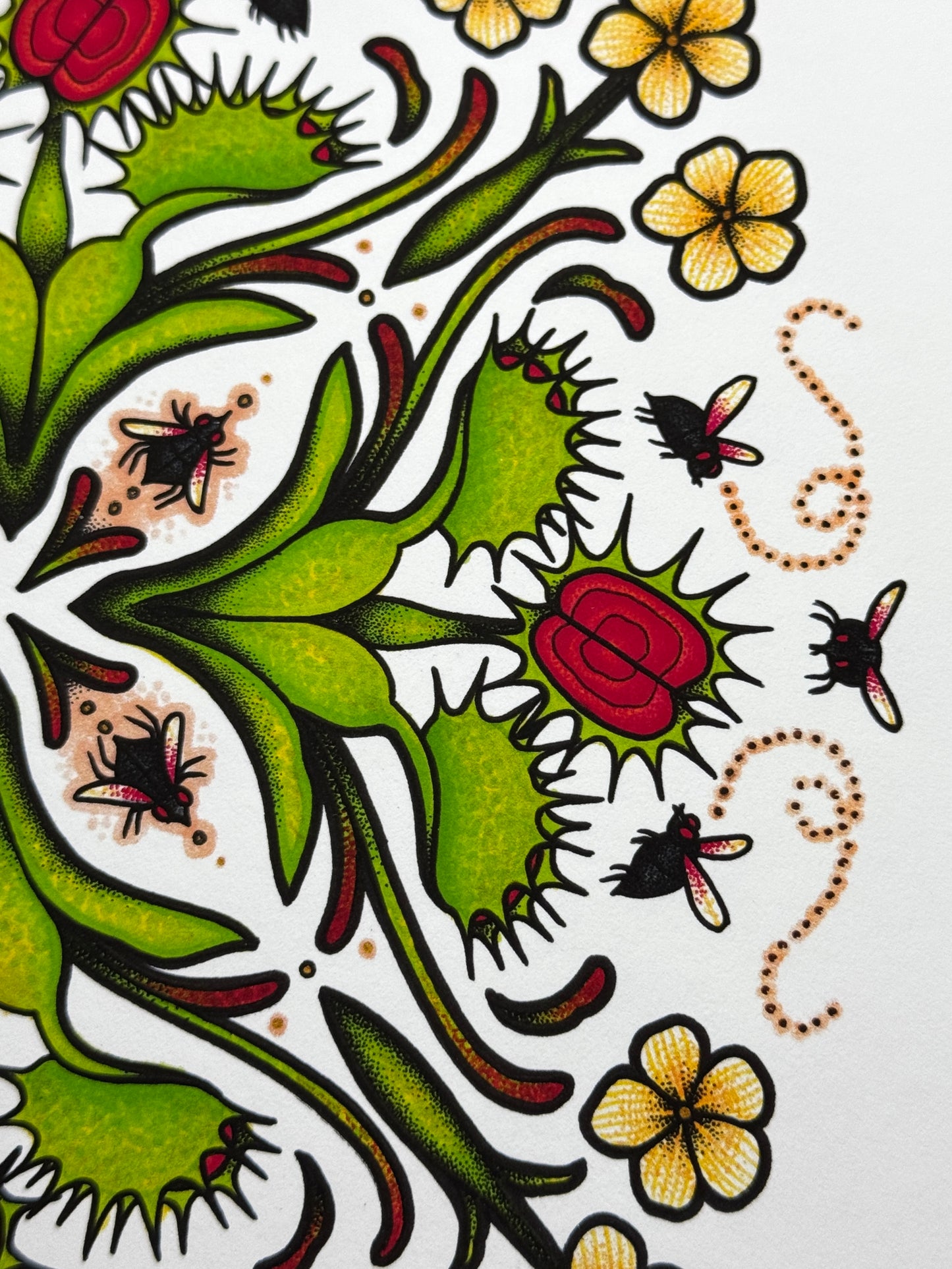 Flytrap Mandala - Print