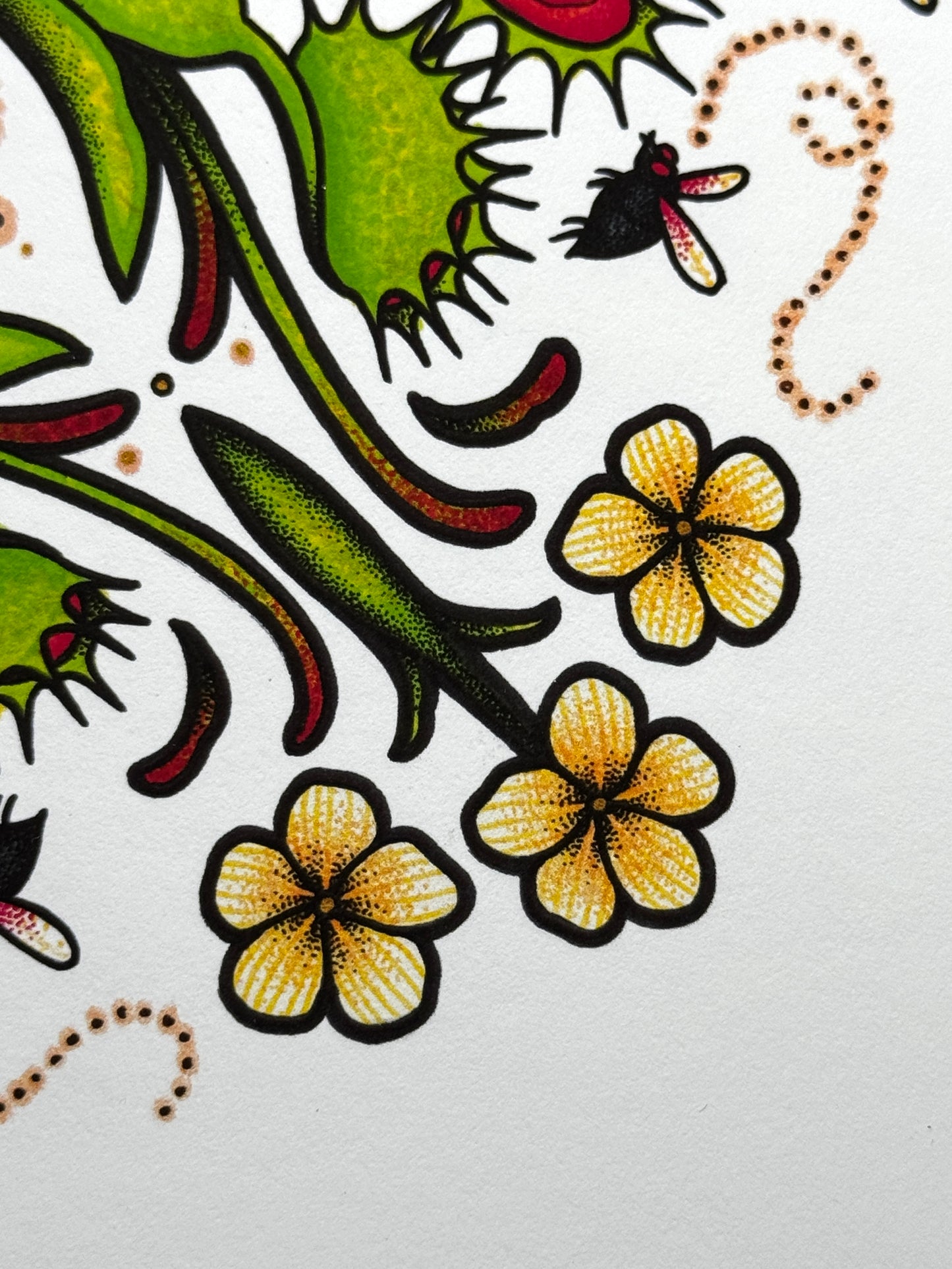 Flytrap Mandala - Print