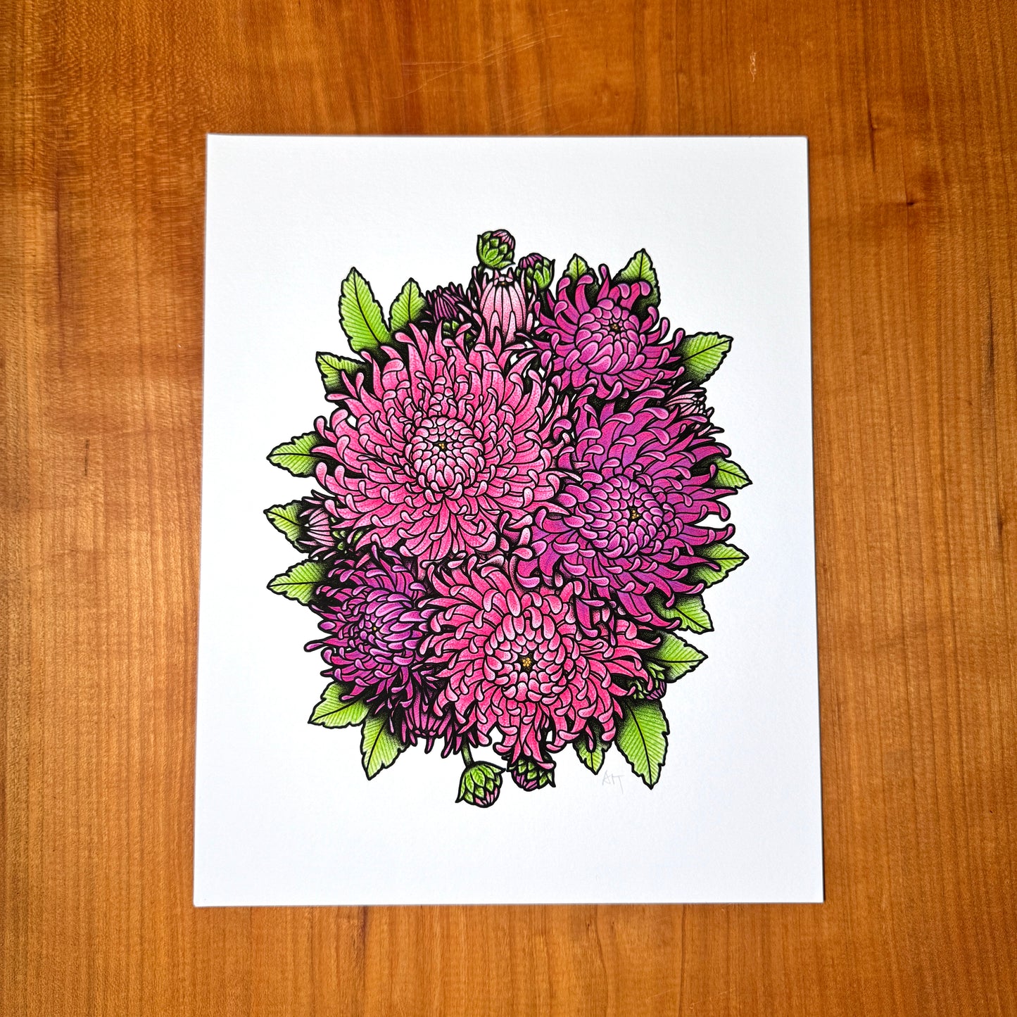 Chrysanthemum - Print