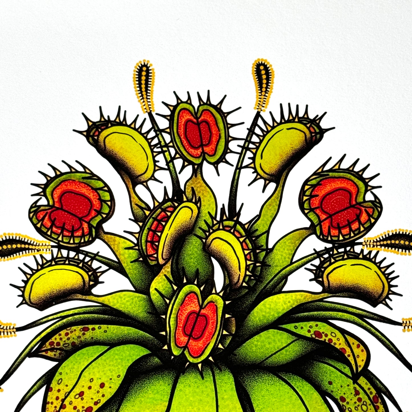 Fly Trap II - Print