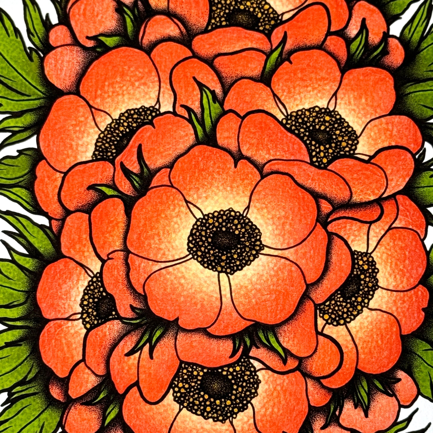 Anemone - Print