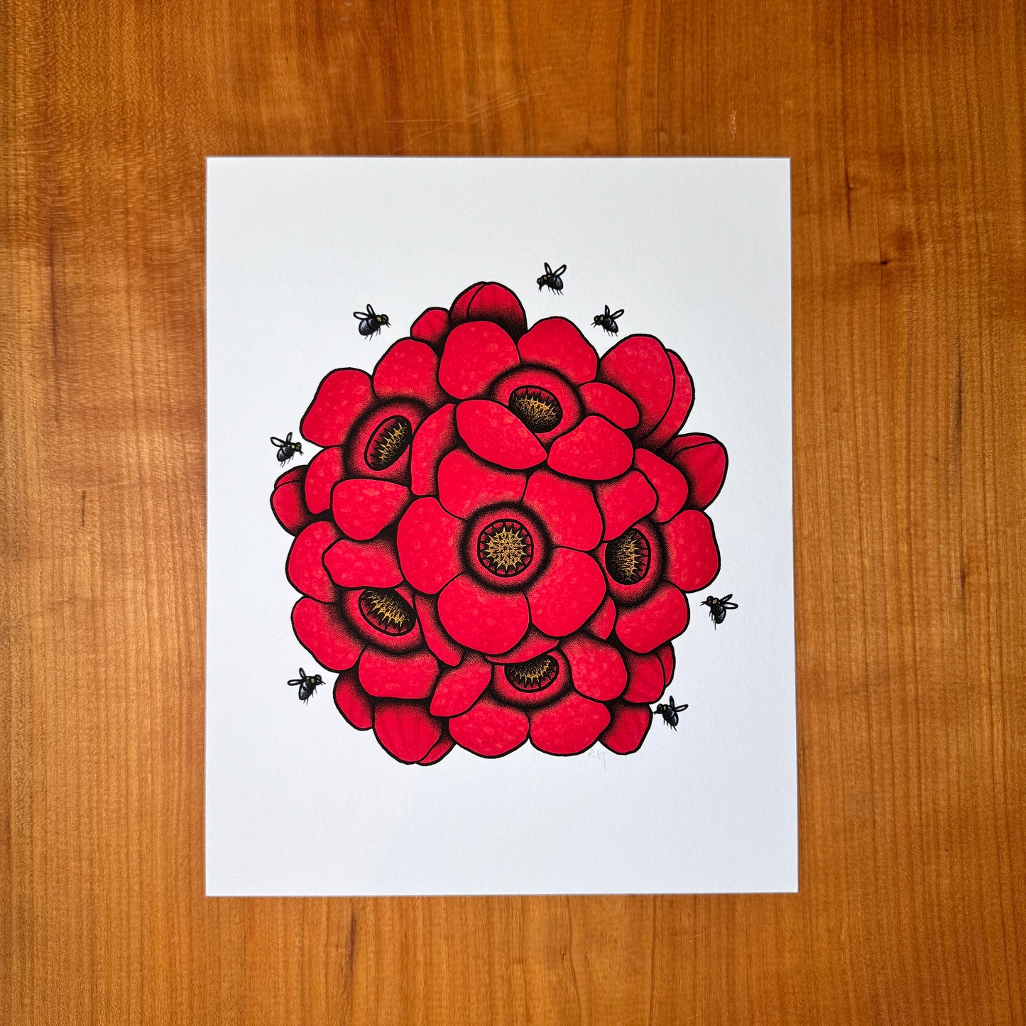 Rafflesia - Print