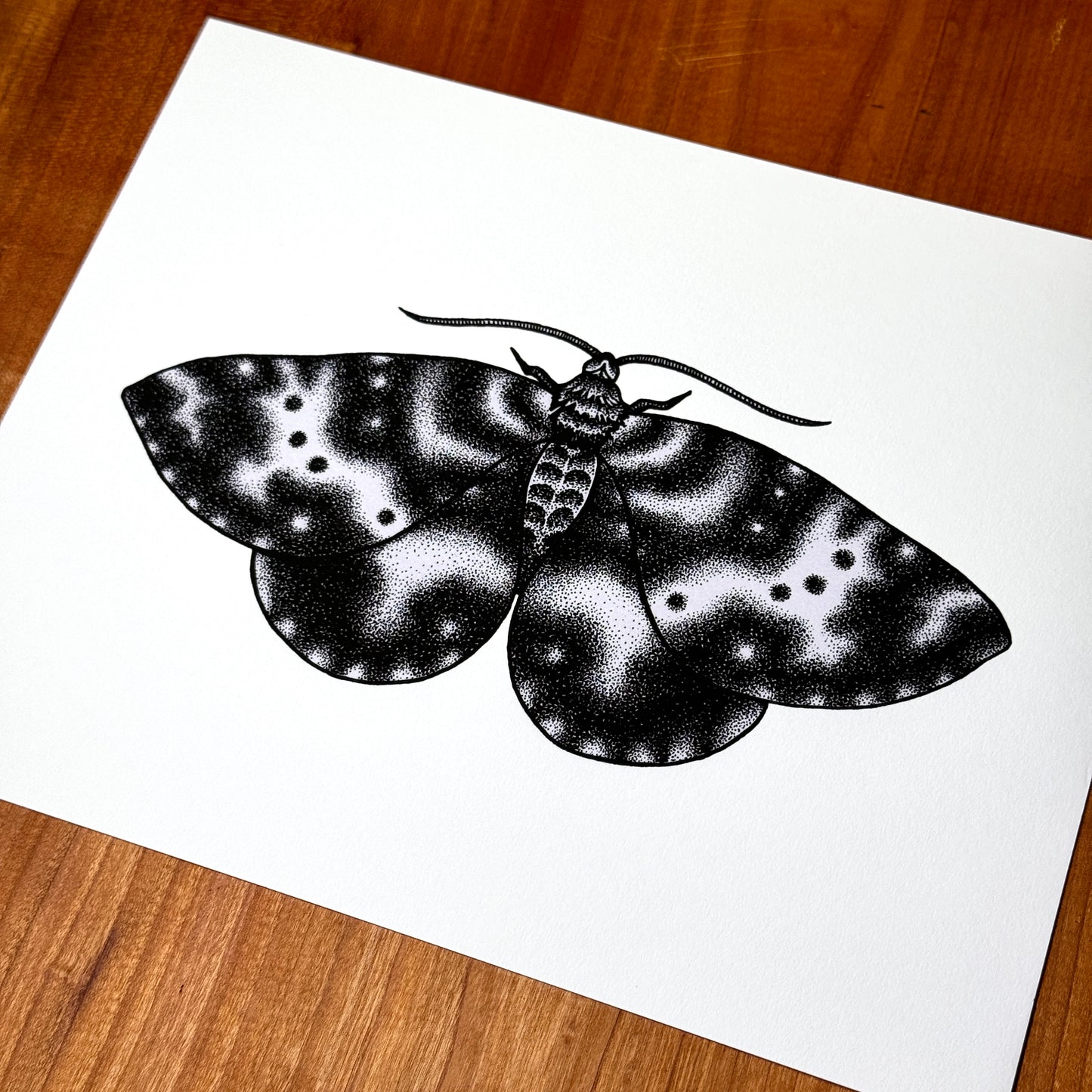 Spear-Marked Black Moth - Print