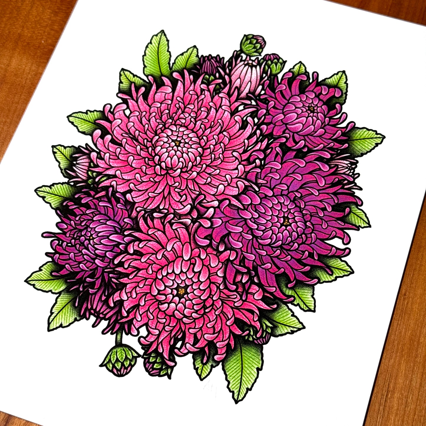 Chrysanthemum - Print