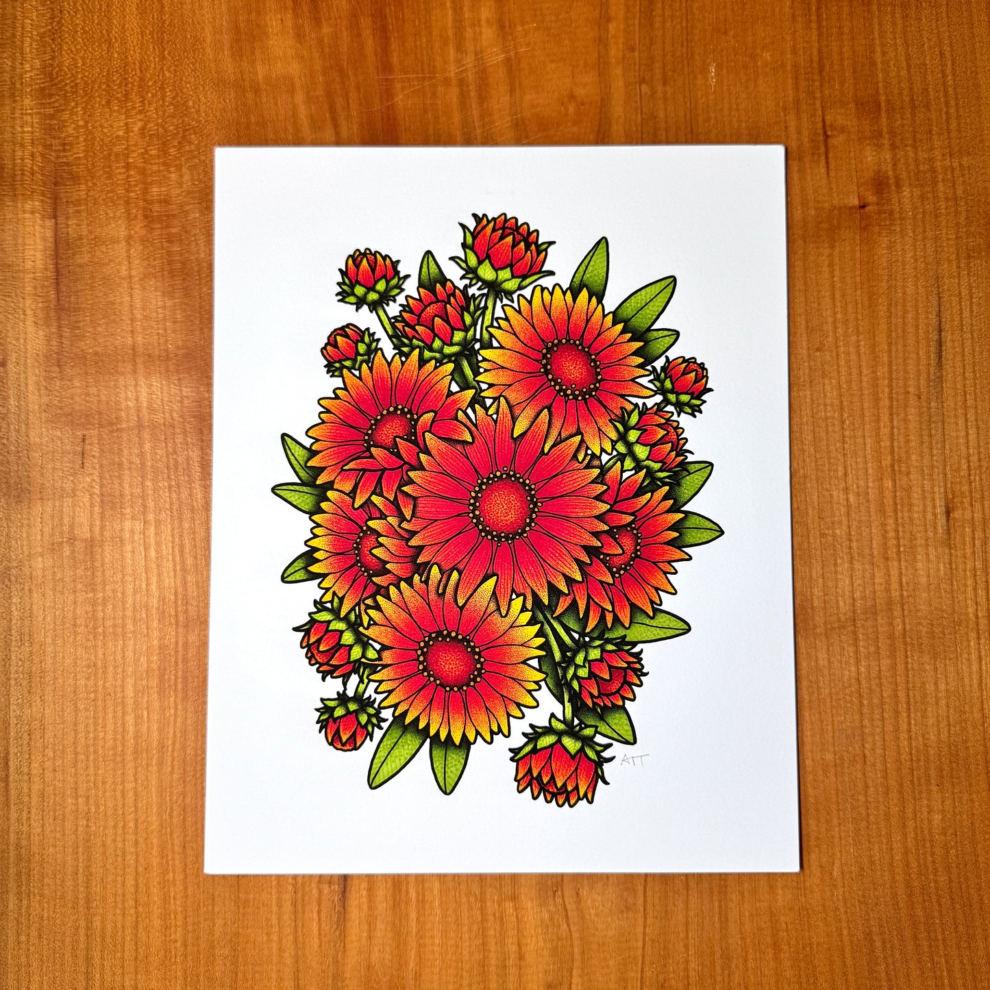 Gaillardia - Print