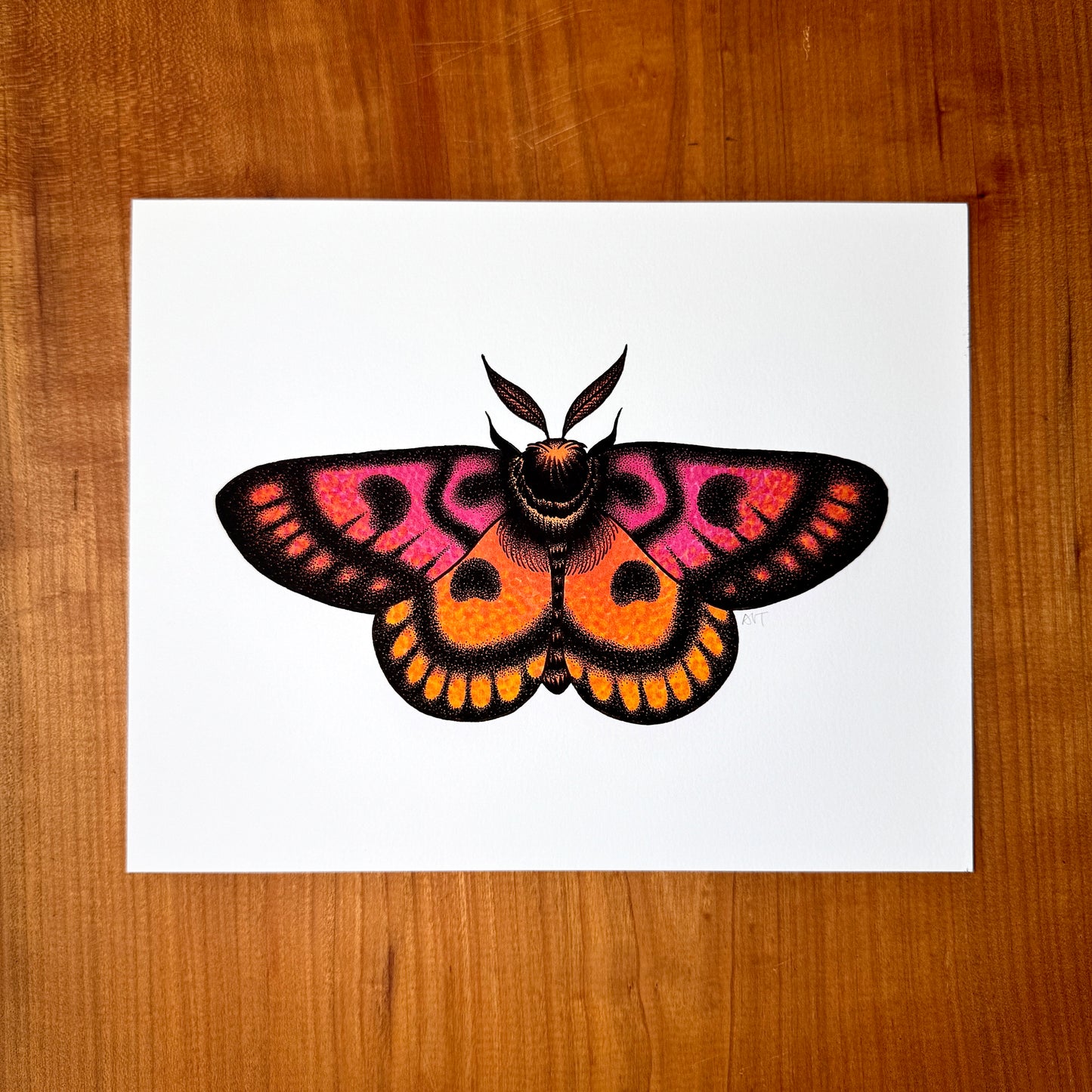 Western Sheep Moth - Print