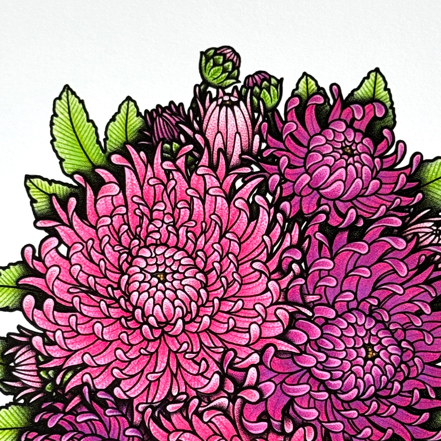 Chrysanthemum - Print