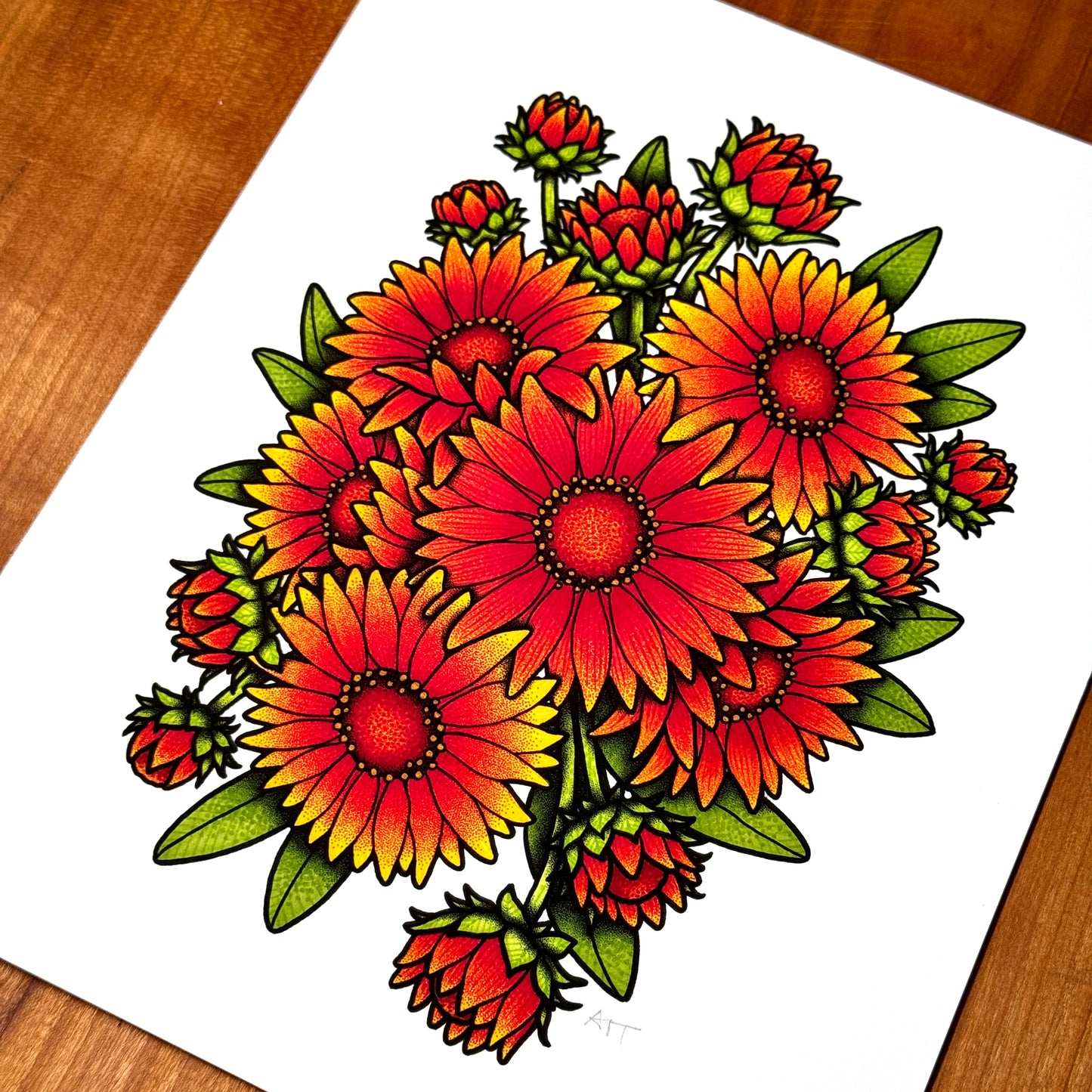 Gaillardia - Print