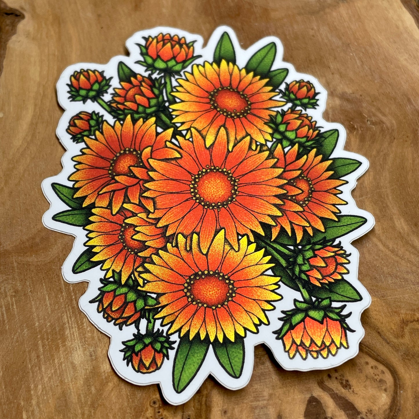 Gaillardia - Sticker